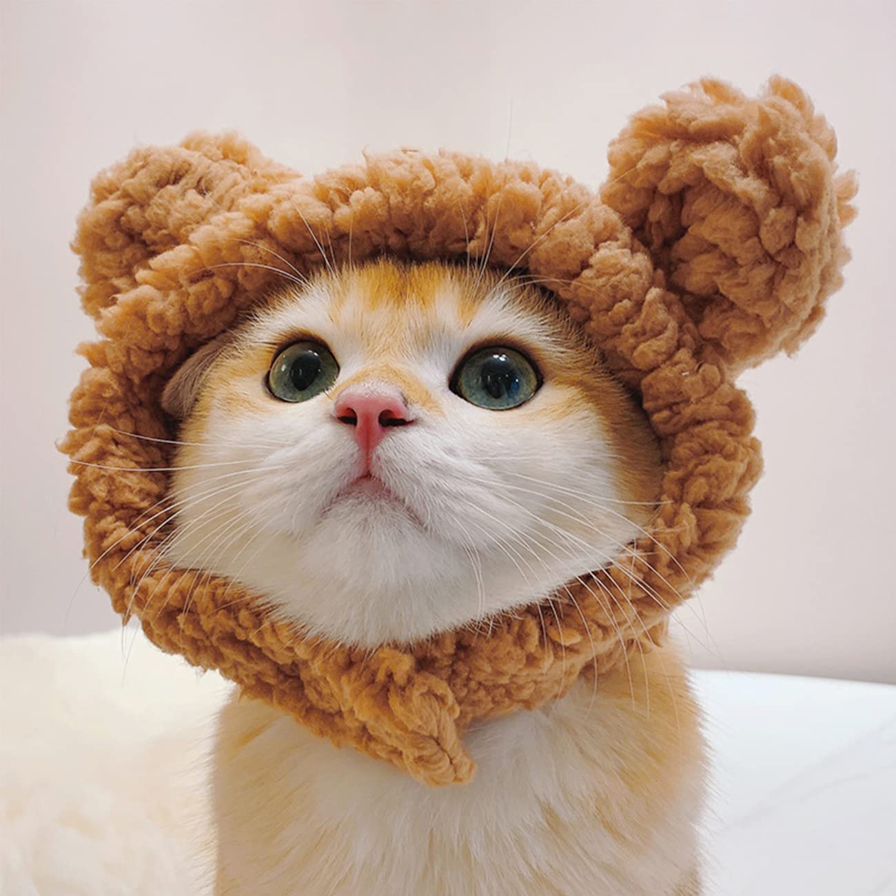 Amazon | Bltokey 猫用ウィッグ ペット用帽子 くま 変身 猫